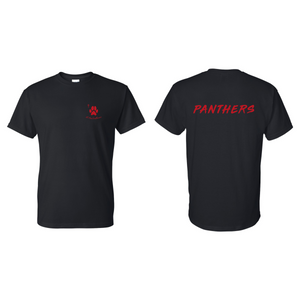 Panthers DryBlend® T-Shirt